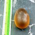 Mystical Mae Khong River Rock Gem Stone Leklai Naga Egg Orange Thai Amulet 17603